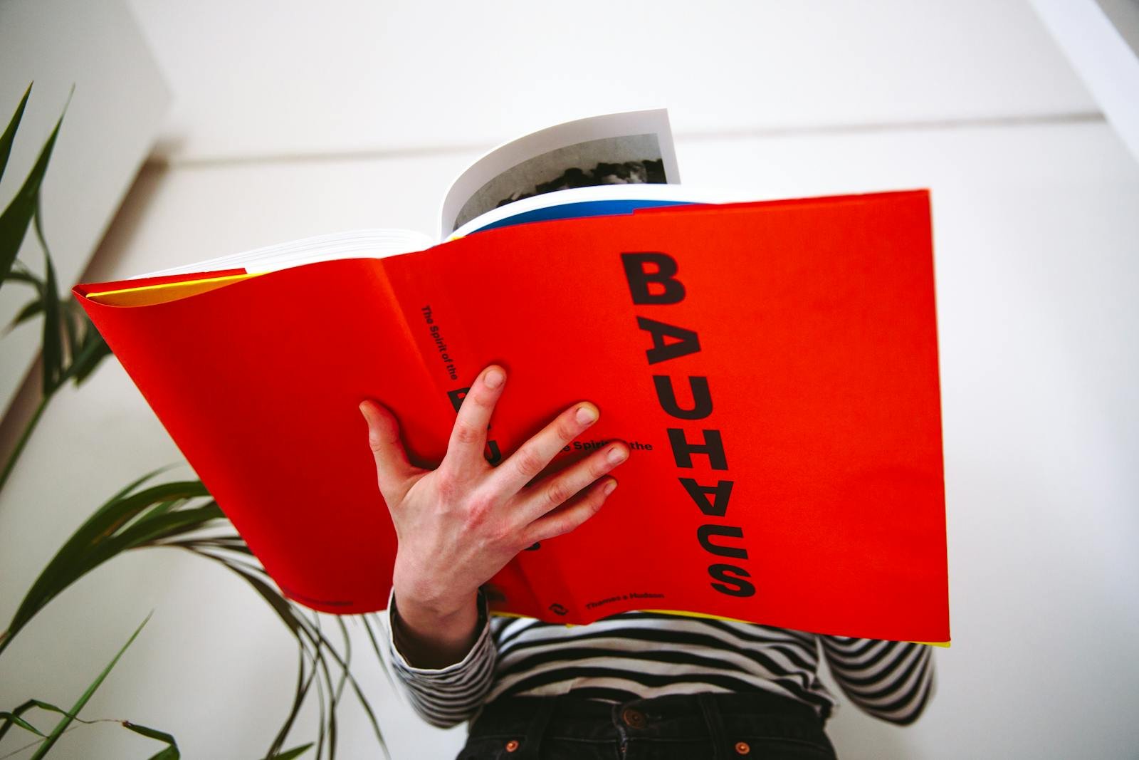 Bauhaus Design Style
