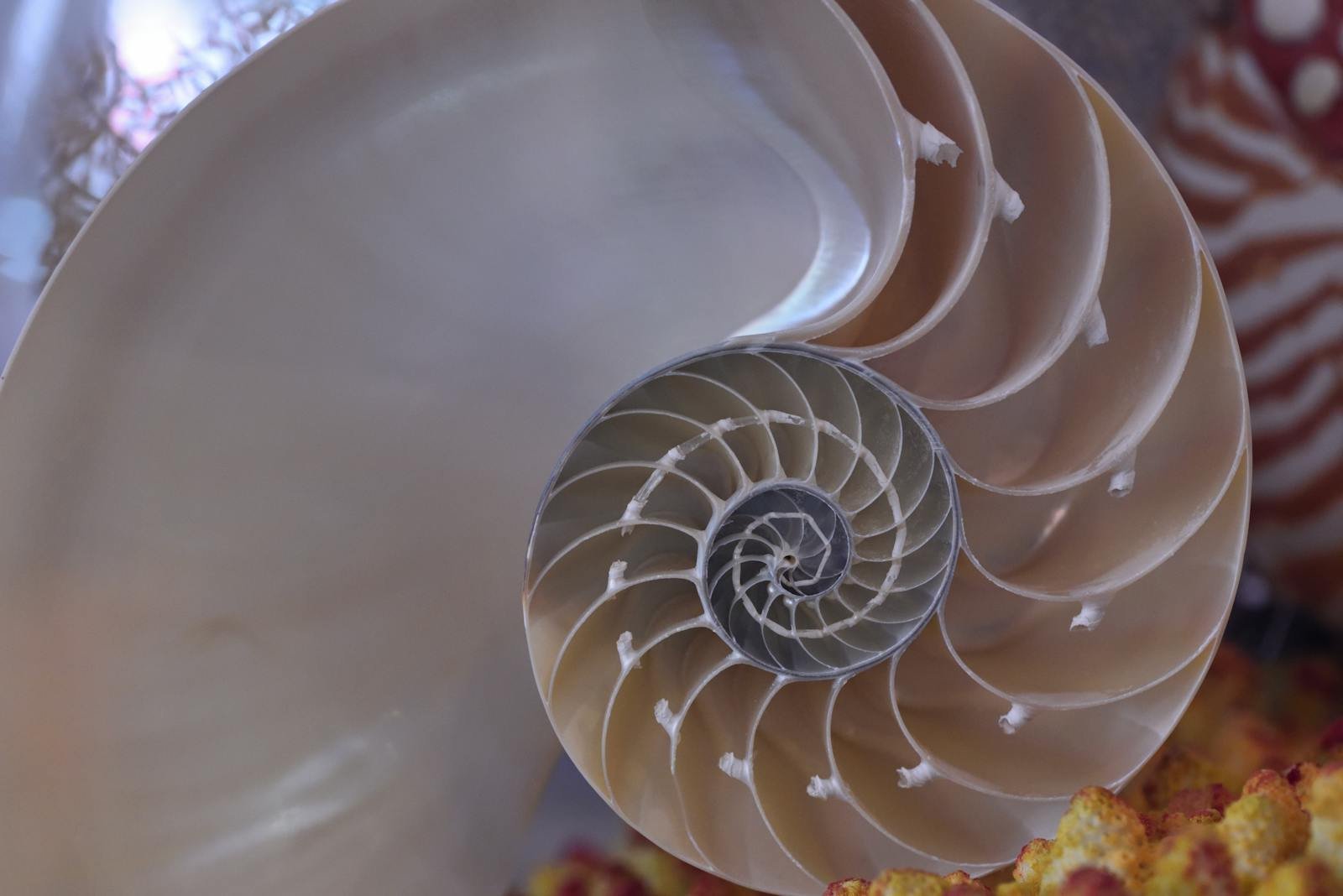 Golden Ratio Calculator